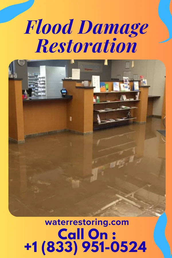 Flood Damage Restoration in Valley Head, AL