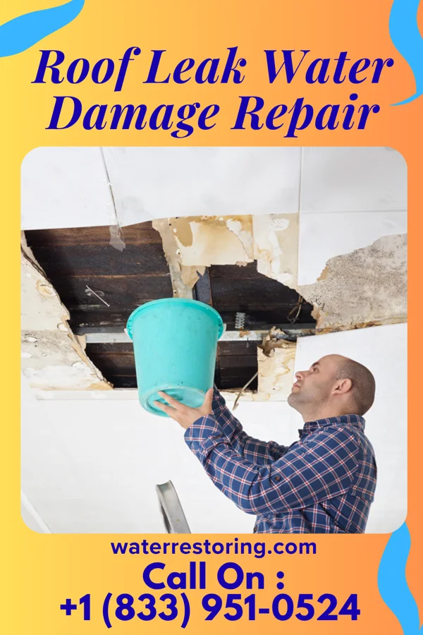 Roof Leak Water Damage Repair in Valley Head, AL